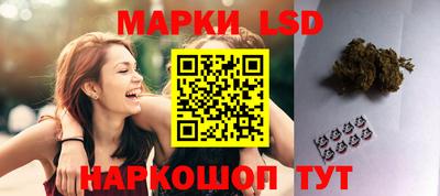 PSILOCYBIN Нальчик