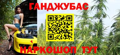 гашик Нарткала