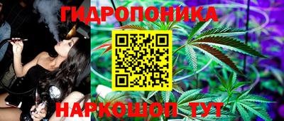 гашик Нарткала