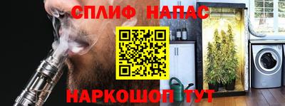 PSILOCYBIN Нальчик