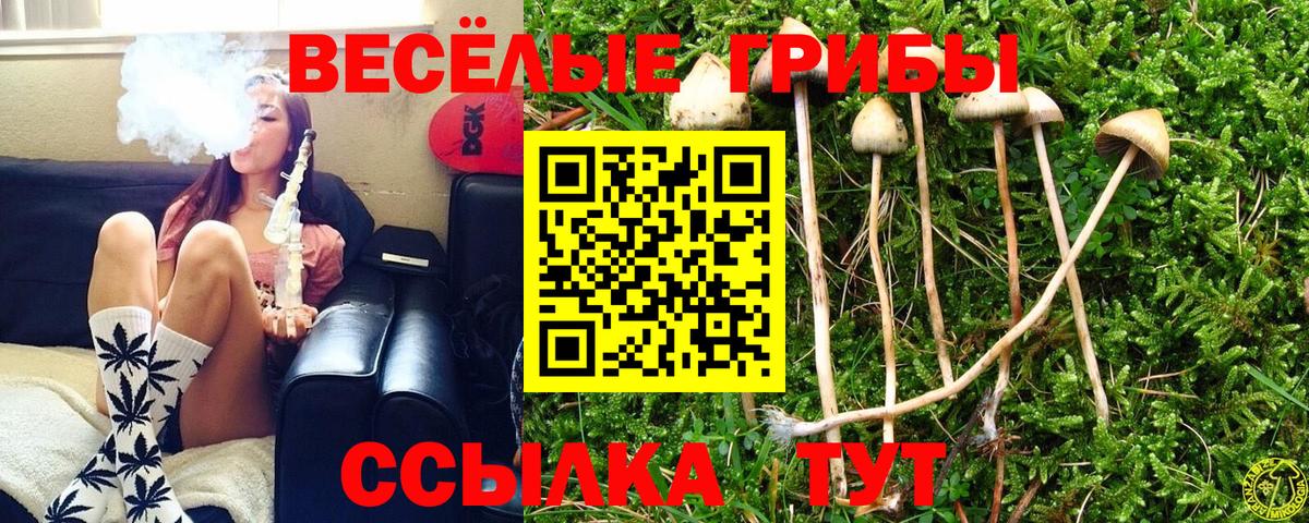 Аргун  Псилоцибиновые грибы Cubensis  Галлюциногенные грибы MAGIC MUSHROOMS  Вход с VPN 